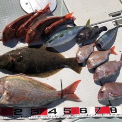 ふじしめ丸 釣果