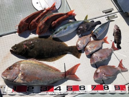 ふじしめ丸 釣果