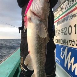 広進丸 釣果