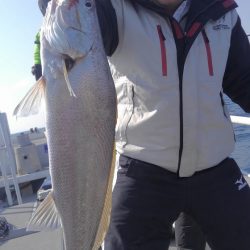 遊漁船 新鋭丸 釣果