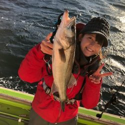 深川 吉野屋 釣果