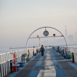 オリジナルメーカー海づり公園(市原市海づり施設) 釣果
