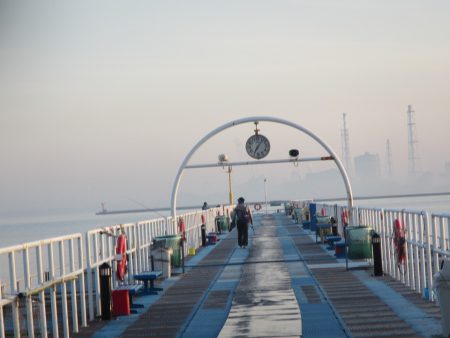 オリジナルメーカー海づり公園(市原市海づり施設) 釣果