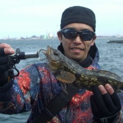 オリジナルメーカー海づり公園(市原市海づり施設) 釣果