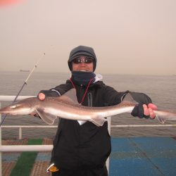 オリジナルメーカー海づり公園(市原市海づり施設) 釣果