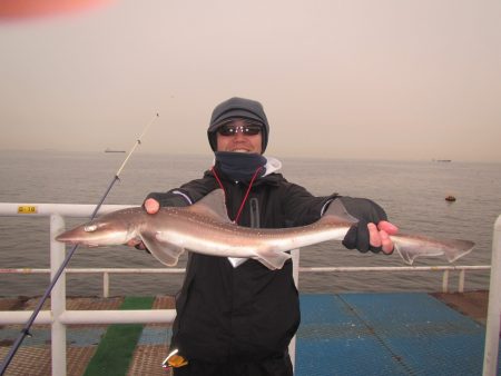 オリジナルメーカー海づり公園(市原市海づり施設) 釣果