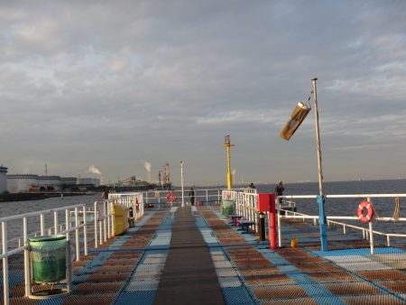 オリジナルメーカー海づり公園(市原市海づり施設) 釣果