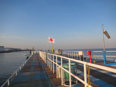 オリジナルメーカー海づり公園(市原市海づり施設) 釣果