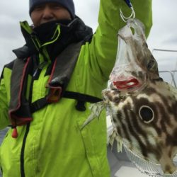 ミタチ丸 釣果