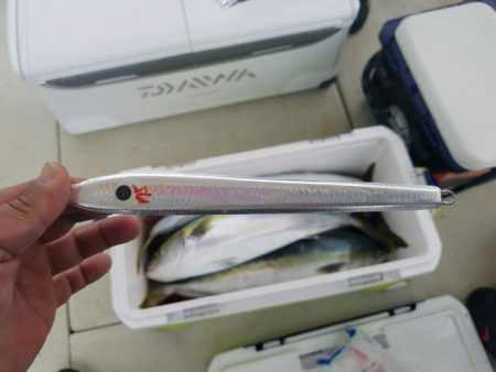 遊漁船　ニライカナイ 釣果