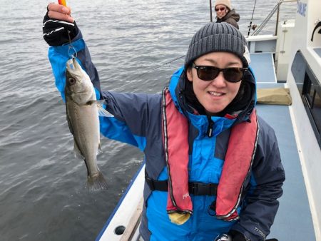 深川 吉野屋 釣果