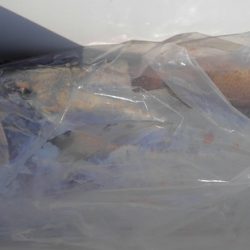 遊漁船 新鋭丸 釣果