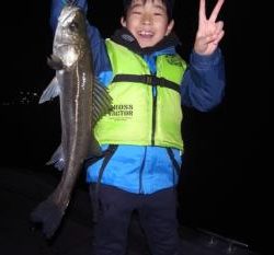 シーマジカル 釣果