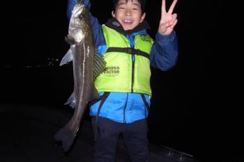 シーマジカル 釣果