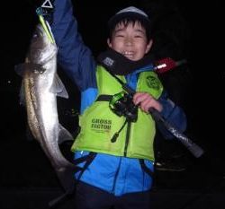 シーマジカル 釣果