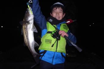 シーマジカル 釣果