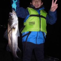 シーマジカル 釣果