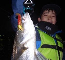 シーマジカル 釣果