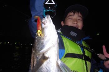 シーマジカル 釣果