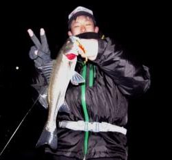 シーマジカル 釣果