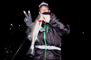 シーマジカル 釣果