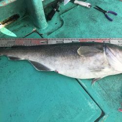 広進丸 釣果