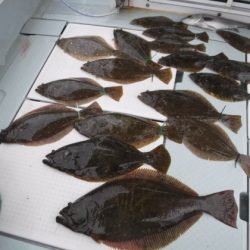 遊漁船 幸友丸 釣果