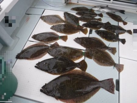 遊漁船 幸友丸 釣果