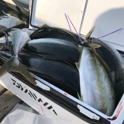 寿裕 (YOSHIHIRO) 釣果