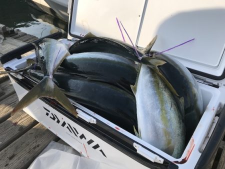 寿裕 (YOSHIHIRO) 釣果