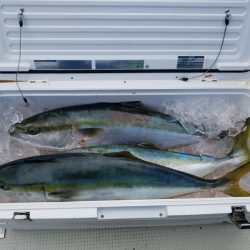 遊漁船　ニライカナイ 釣果