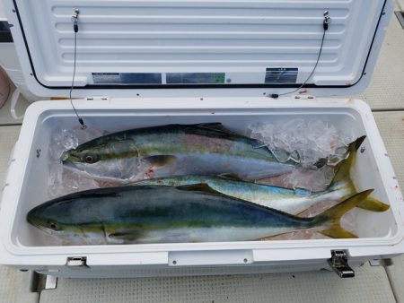 遊漁船　ニライカナイ 釣果