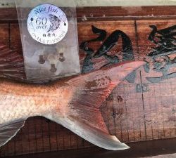 白墨丸 釣果