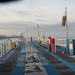 オリジナルメーカー海づり公園(市原市海づり施設) 釣果