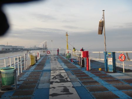 オリジナルメーカー海づり公園(市原市海づり施設) 釣果