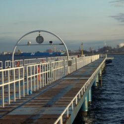 オリジナルメーカー海づり公園(市原市海づり施設) 釣果