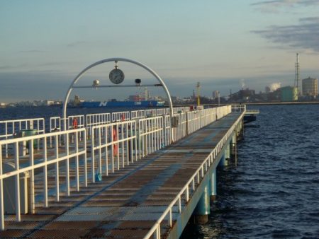 オリジナルメーカー海づり公園(市原市海づり施設) 釣果