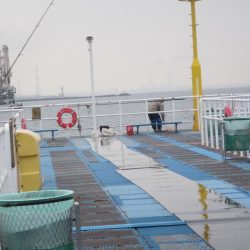 オリジナルメーカー海づり公園(市原市海づり施設) 釣果