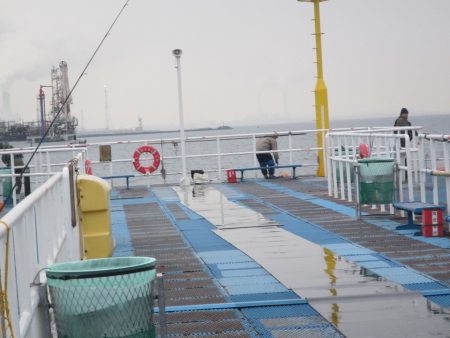 オリジナルメーカー海づり公園(市原市海づり施設) 釣果