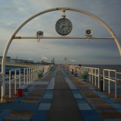 オリジナルメーカー海づり公園(市原市海づり施設) 釣果