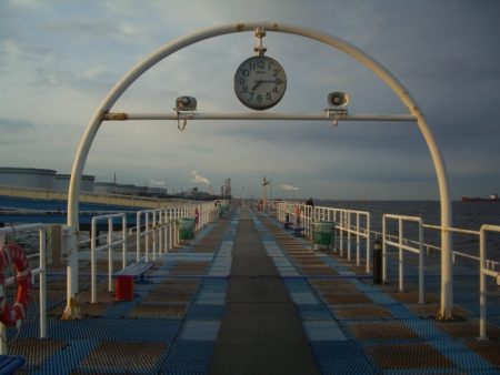 オリジナルメーカー海づり公園(市原市海づり施設) 釣果