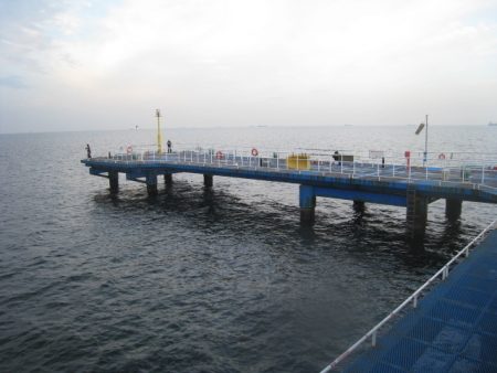 オリジナルメーカー海づり公園(市原市海づり施設) 釣果