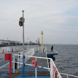 オリジナルメーカー海づり公園(市原市海づり施設) 釣果