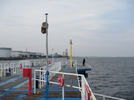 オリジナルメーカー海づり公園(市原市海づり施設) 釣果