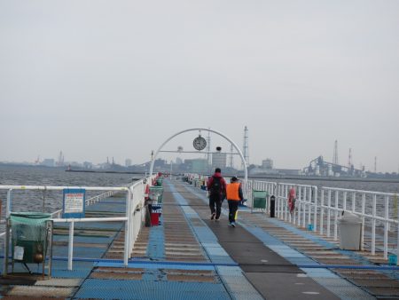 オリジナルメーカー海づり公園(市原市海づり施設) 釣果