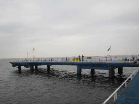 オリジナルメーカー海づり公園(市原市海づり施設) 釣果