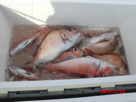 大進丸(新潟) 釣果