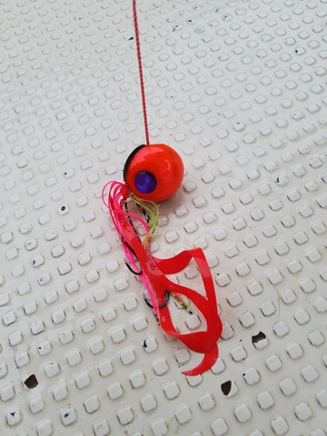 遊漁船　ニライカナイ 釣果