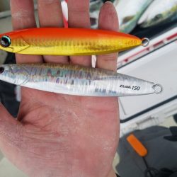 遊漁船 ニライカナイ 釣果