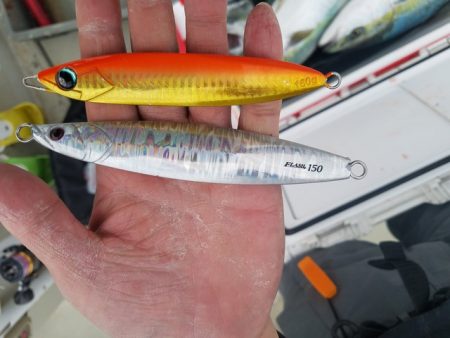 遊漁船 ニライカナイ 釣果